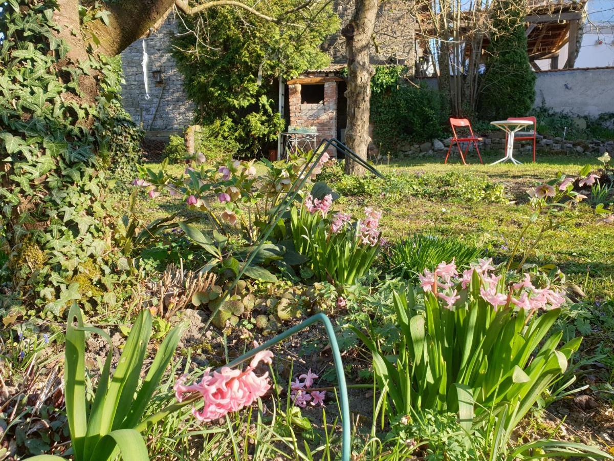 Unser Obervolkacher Ferienhaus-Einfach Gemutlich! Eksteriør bilde