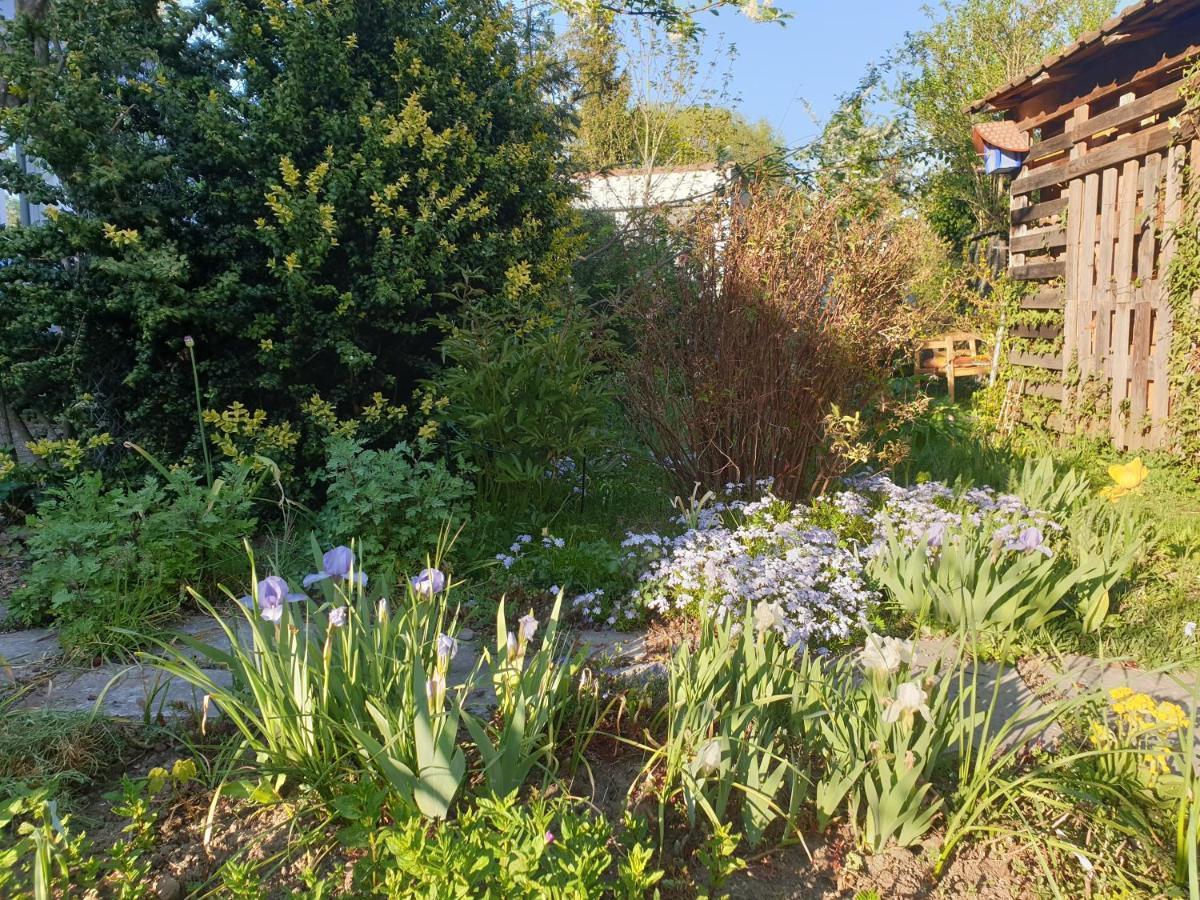 Unser Obervolkacher Ferienhaus-Einfach Gemutlich! Eksteriør bilde